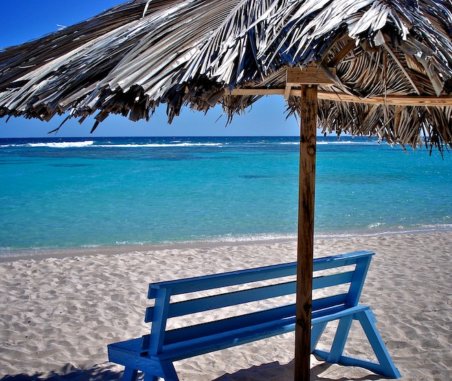 Loblolly Bay